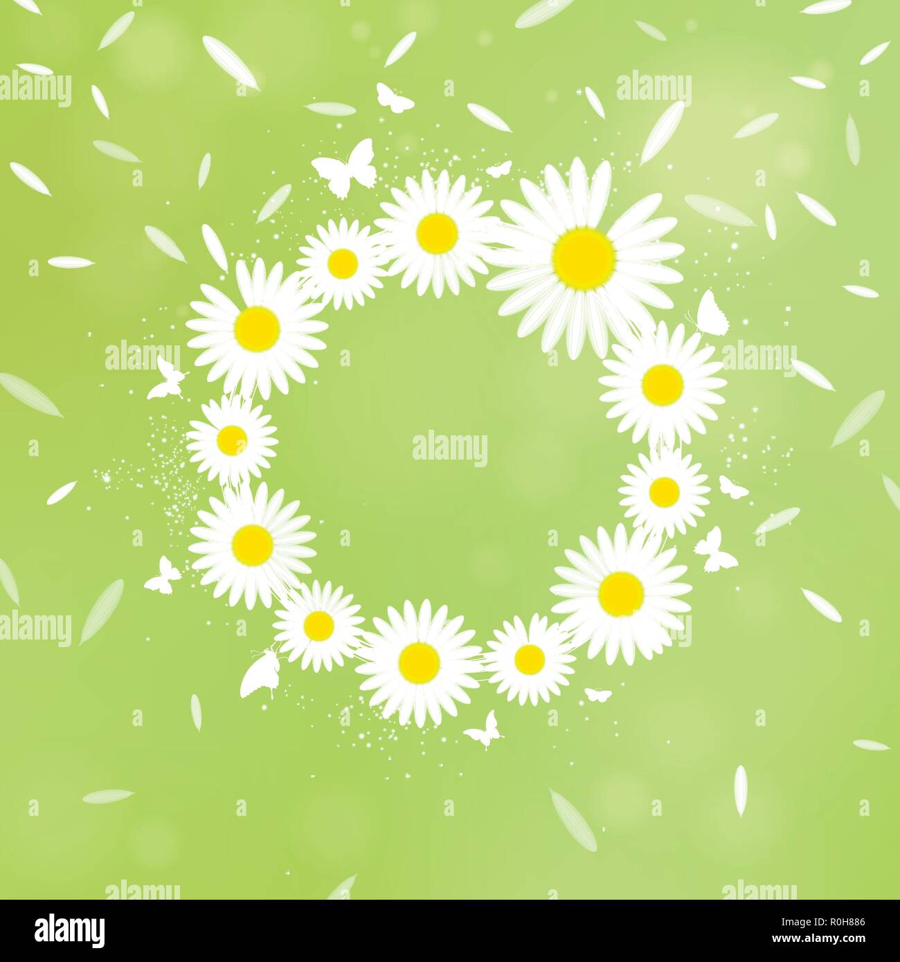 wreath of white chamomiles on a green background Stock Vector