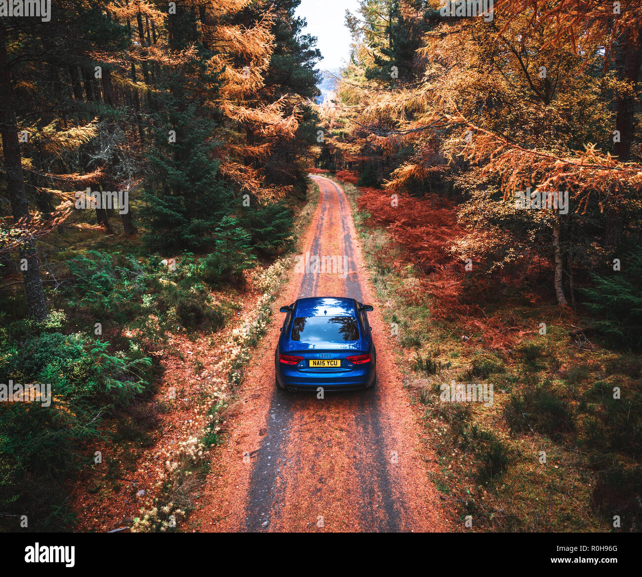Autumn Audi Stock Photo