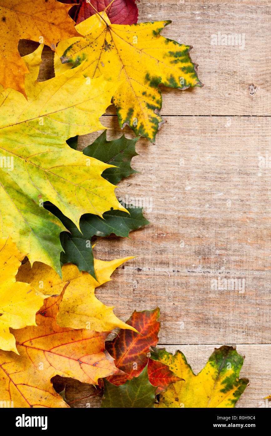 autumn leaves over wooden background with copy space Stock Photo - Alamy