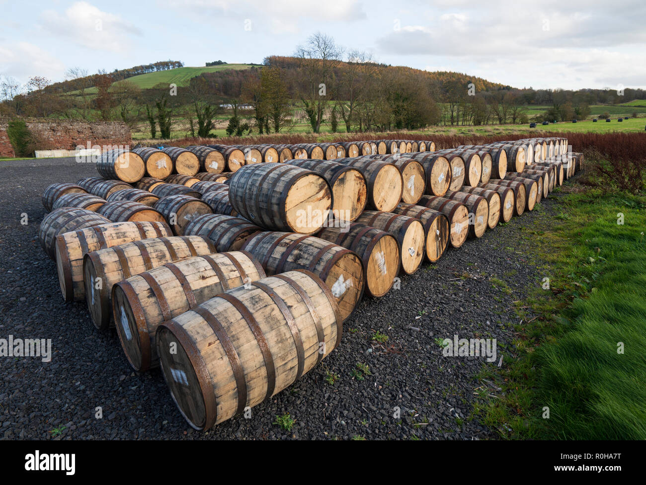 View of whisky barrels at Lindores Abbey Distillery in Newburgh, Fife