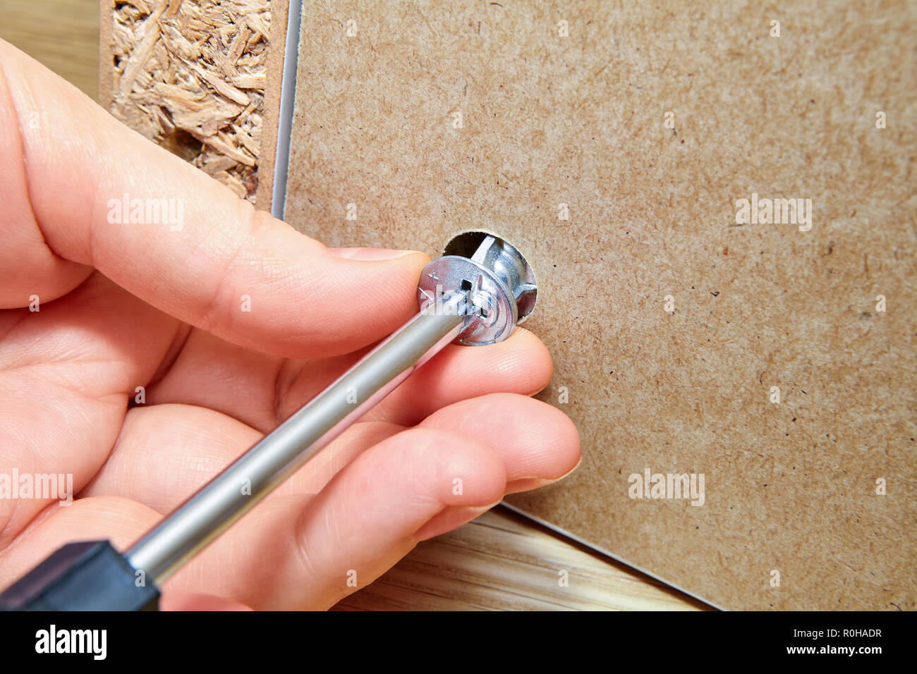 The furniture assembler tightens the knock down fitting into the furniture  made of particle board with a screwdriver, flat pack furniture assembly  Stock Photo - Alamy