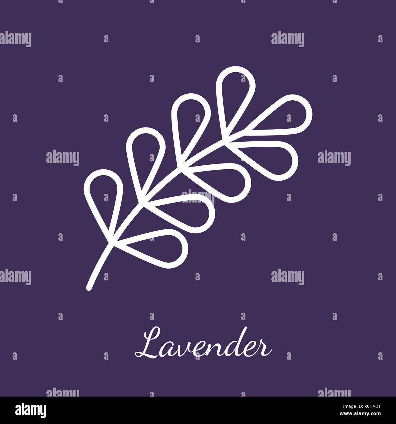 Lavender blossom icon. Flavoring spices vector symbol. Stock Vector