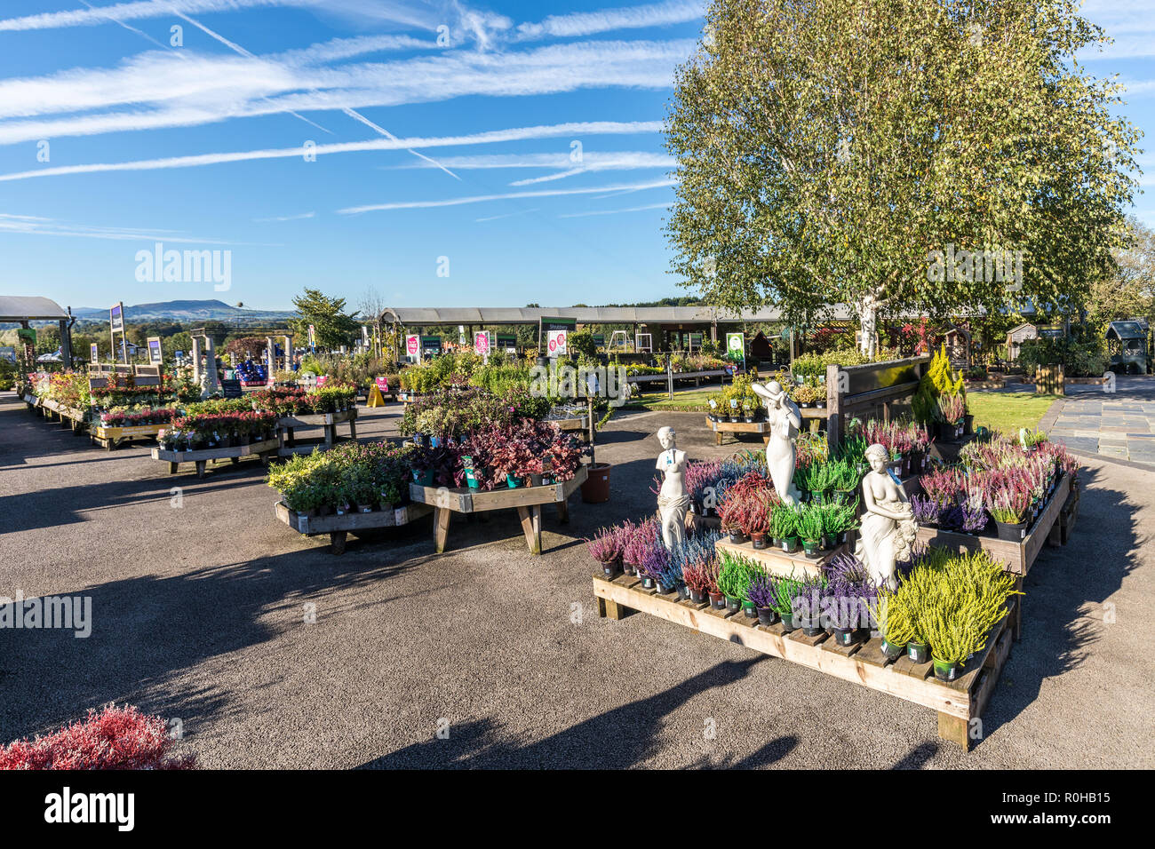 Garden centre ornaments hi-res stock photography and images - Alamy