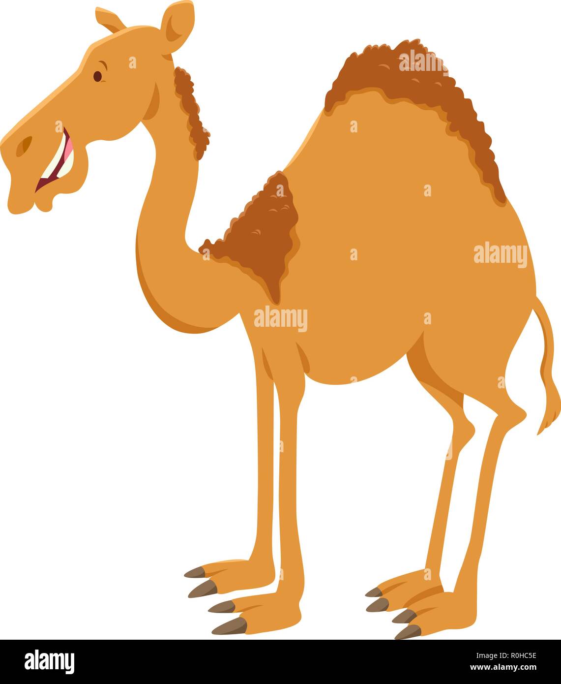 Cartoon Illustration of Dromedary Camel Funny Animal Character Stock Vector