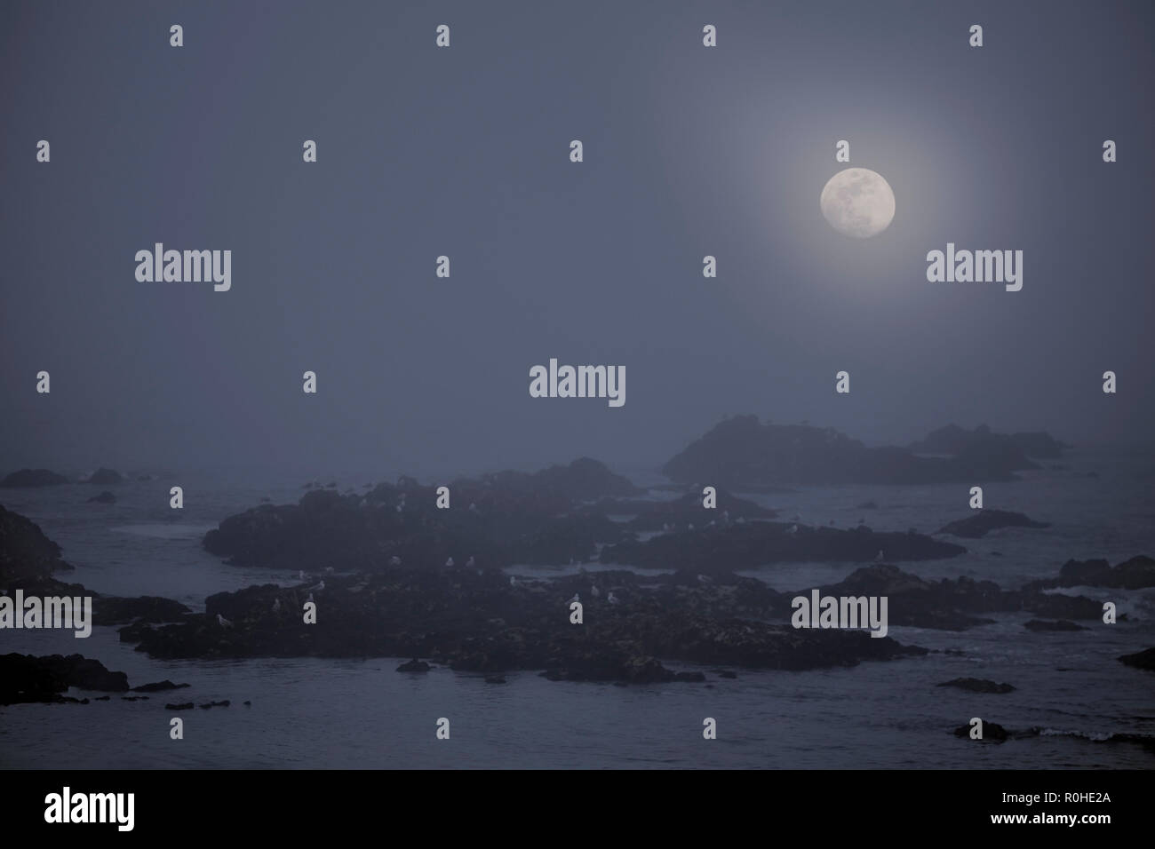 Rocky sea coast in a foggy full moon night Stock Photo - Alamy