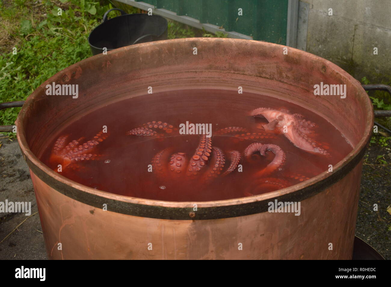 Copper Pot With Octopus Cooking Inside In The Becerrea Octopus Fair. Kitchen, Food, Travel, Vacations. August 3, 2018. Becerrea, Lugo, Galicia, Spain. Stock Photo