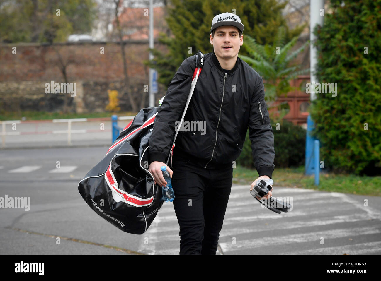 Prague, Czech Republic. 05th Nov, 2018. Four newcomers, Jan Stencel, Radim Zohorna, Radovan Pavlik and Patrik Zdrahal, are in the Czech national ice-hockey team's roster for the Euro Hockey Tour series' Karjala tournament to be held in Prague and Helsinki on November 8-11, new coach Milos Riha announced in Prague, Czech Republic, November 5, 2018. Hockey player David Tomasek (pictured) comes to the training session. Credit: Vit Simanek/CTK Photo/Alamy Live News Stock Photo