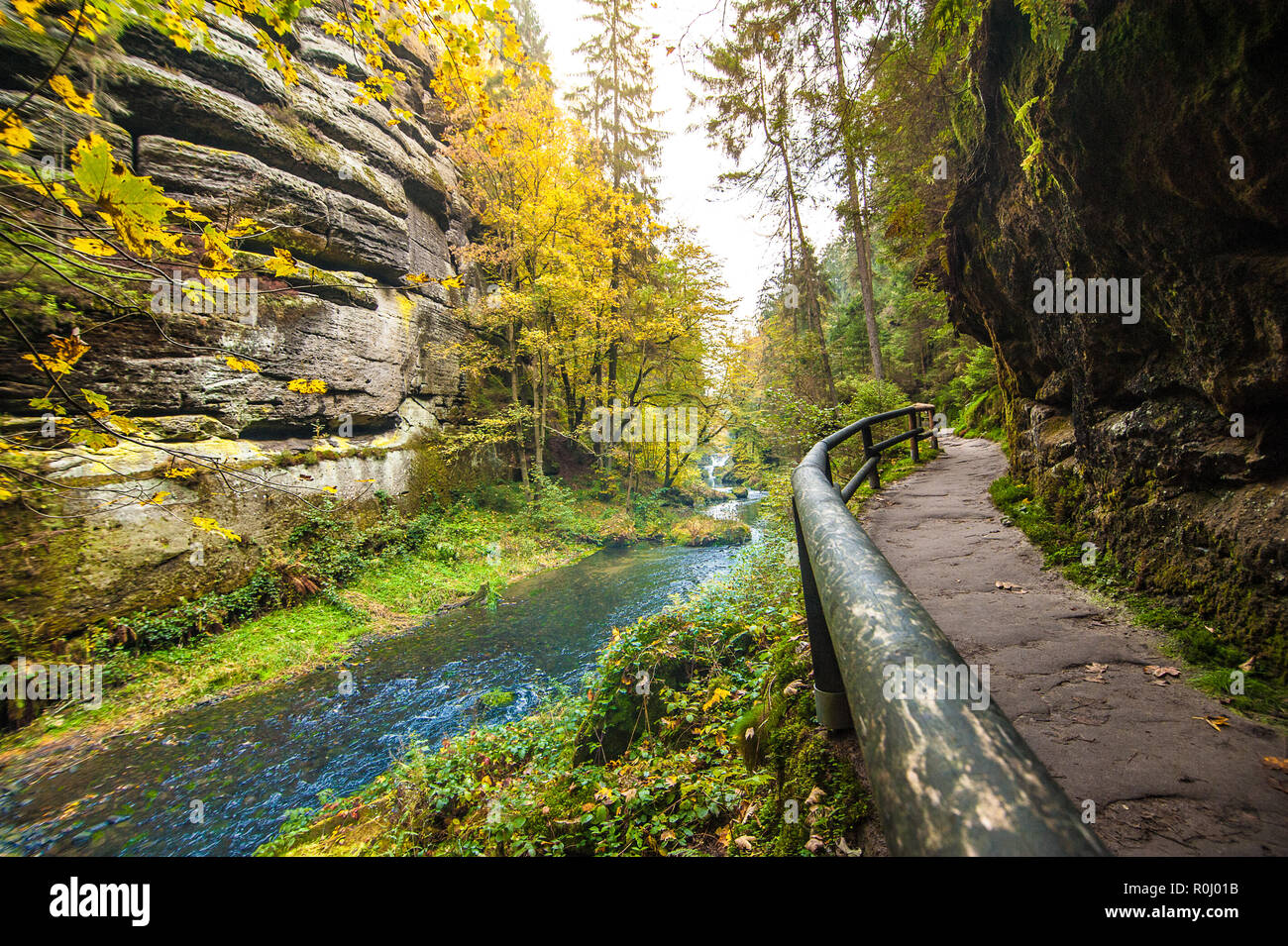 Picturesque view of Hrensko national Park, situated in Bohemian Switzerland, Czech Republic Stock Photo
