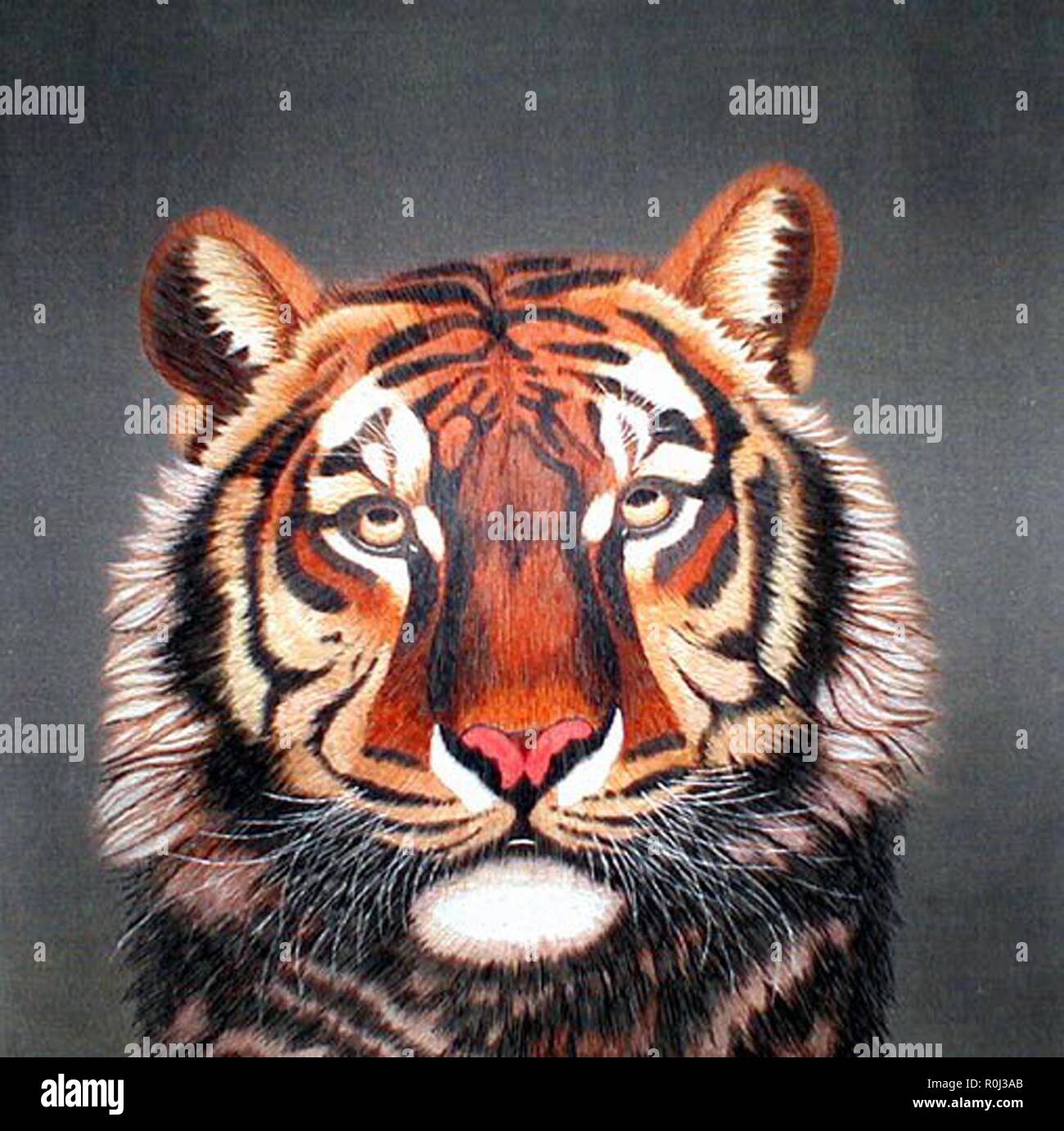 portrait of a tiger Stock Photo