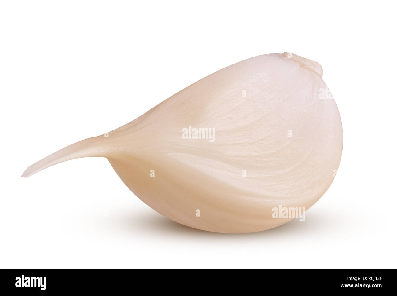 Fresh young garlic isolated on white background. Clipping Path. Stock Photo