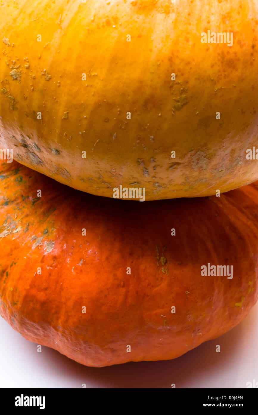 A two pumpkins lies in front of a white background Stock Photo - Alamy