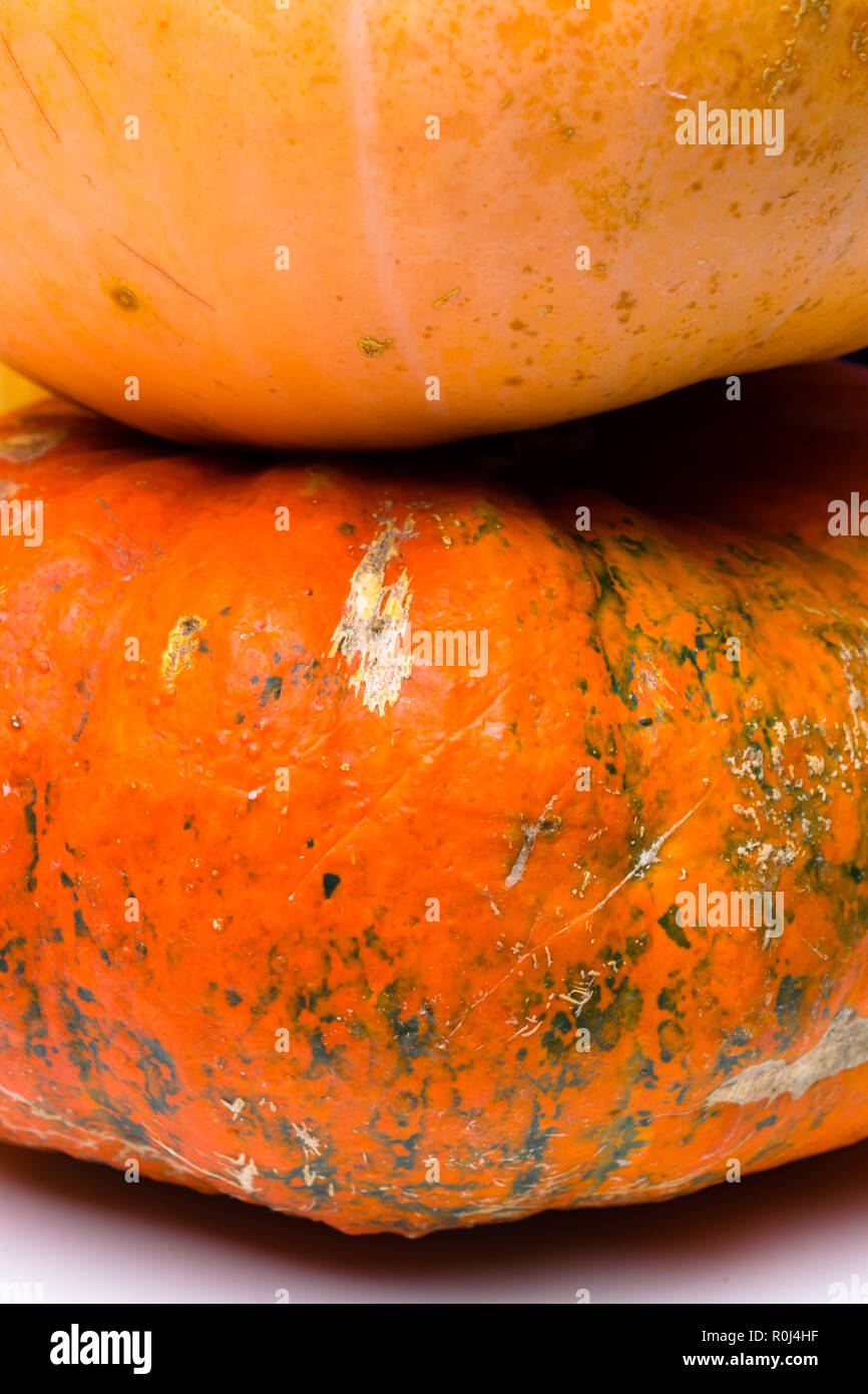 A two pumpkins lies in front of a white background Stock Photo - Alamy