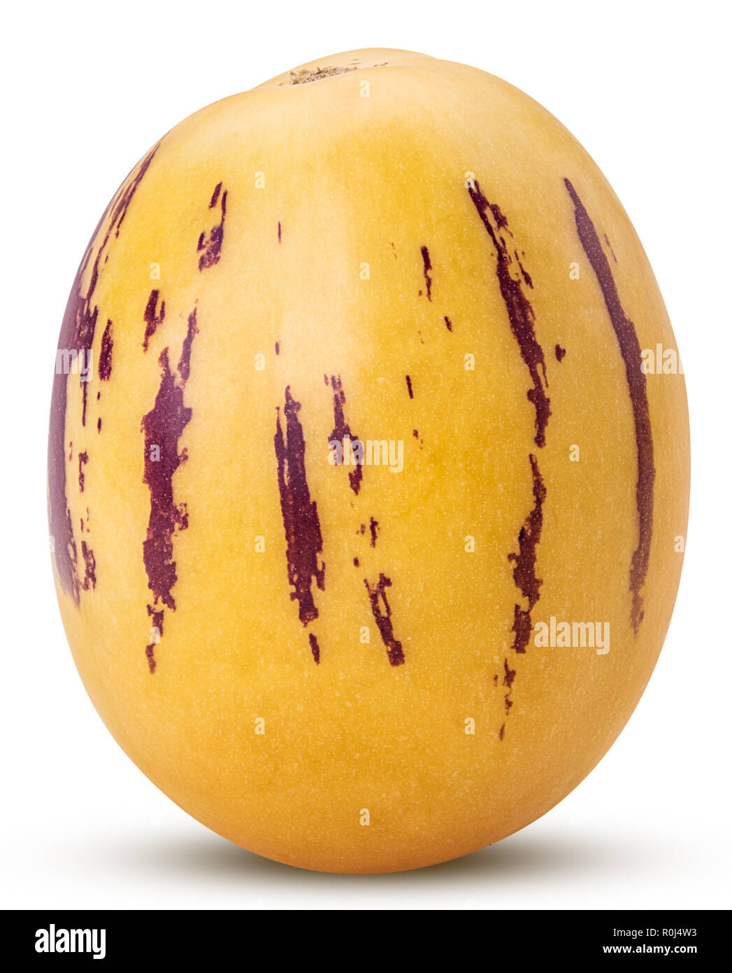 Solanum melon hires stock photography and images Alamy