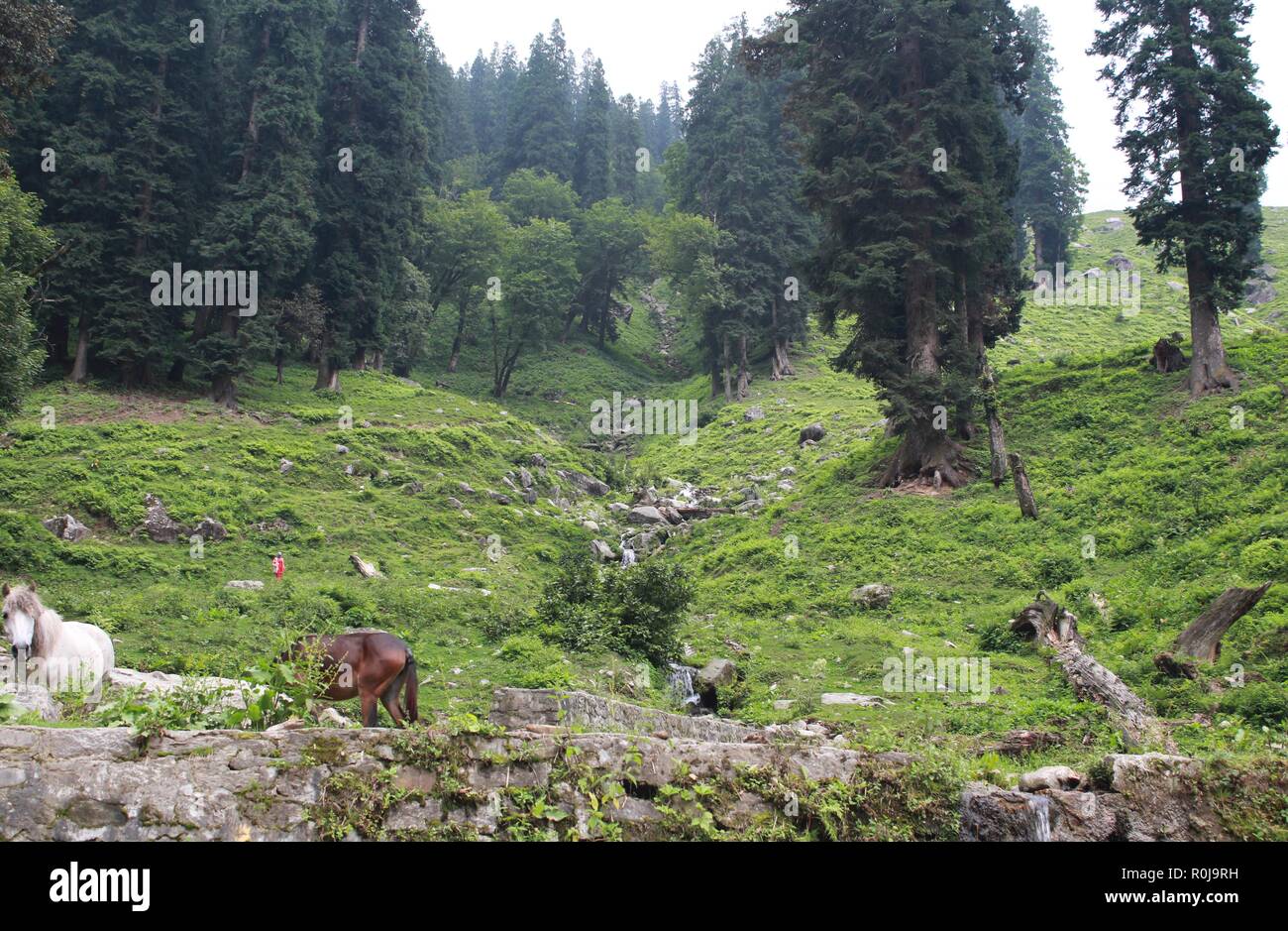 Manali india trek hi-res stock photography and images - Alamy