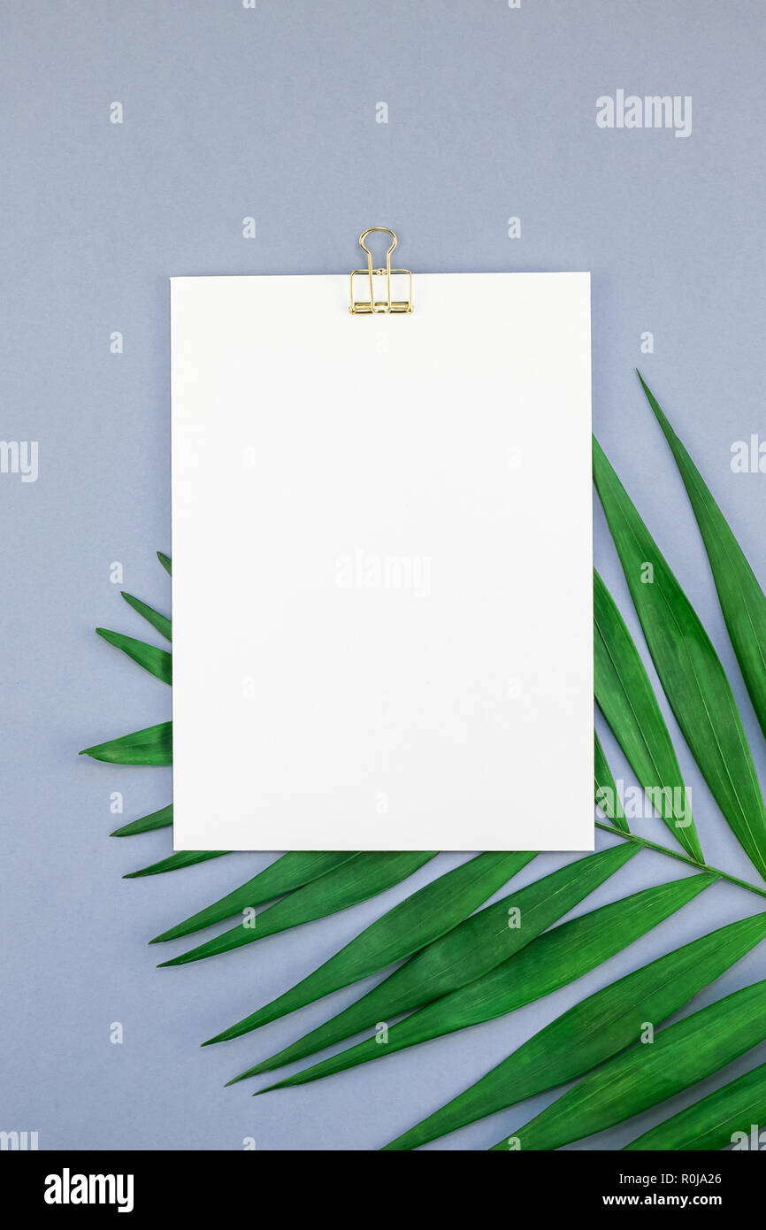 Creative flat lay top view mock up blank paper sheet postcard clipboard ...