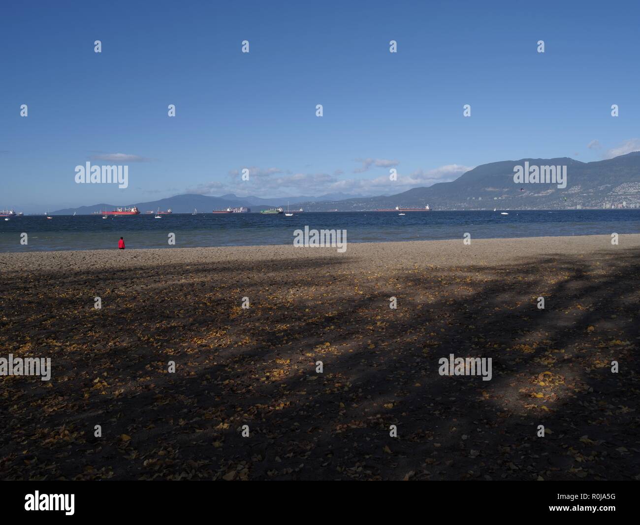 Kits Beach, Kitsilano, Vancouver, British Columbia, Canada, Brian Martin RMSF, large file size