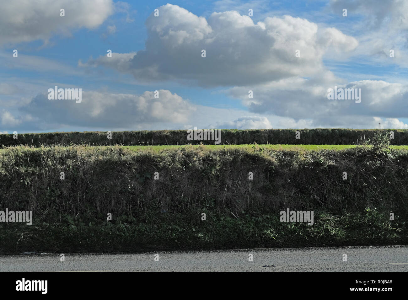 An empty road with a field. Stock Photo