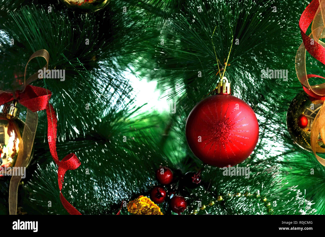 A Red ball is hanging on Christmas tree. Stock Photo