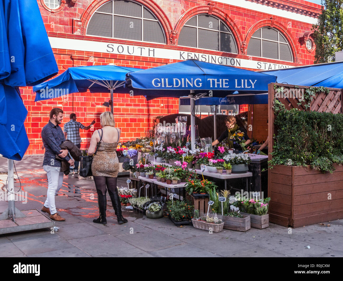 Gilding of the lily flower hires stock photography and images Alamy