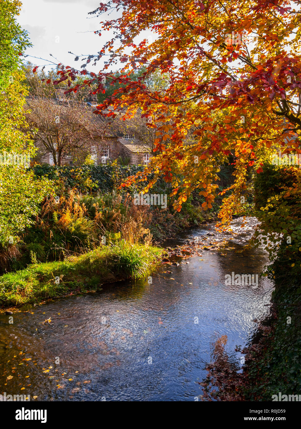 The River Wye at Baslow, Derbyshire, Autumn Stock Photo - Alamy