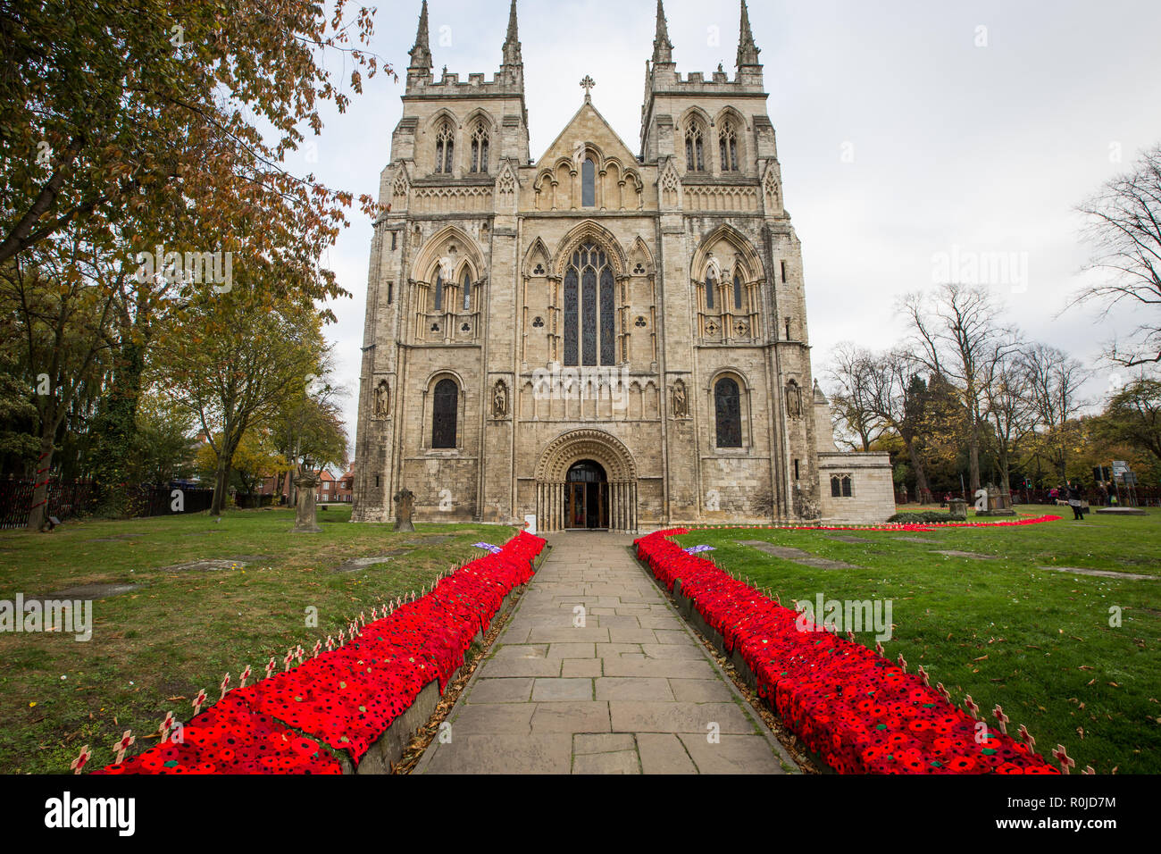 SELBY, NORTH YORKSHIRE, UK - NOVEMBER 4, 2018. The exterior of Selby Abbey decorated with a cascade of poppies to commemorate the centenary of WW1 Stock Photo