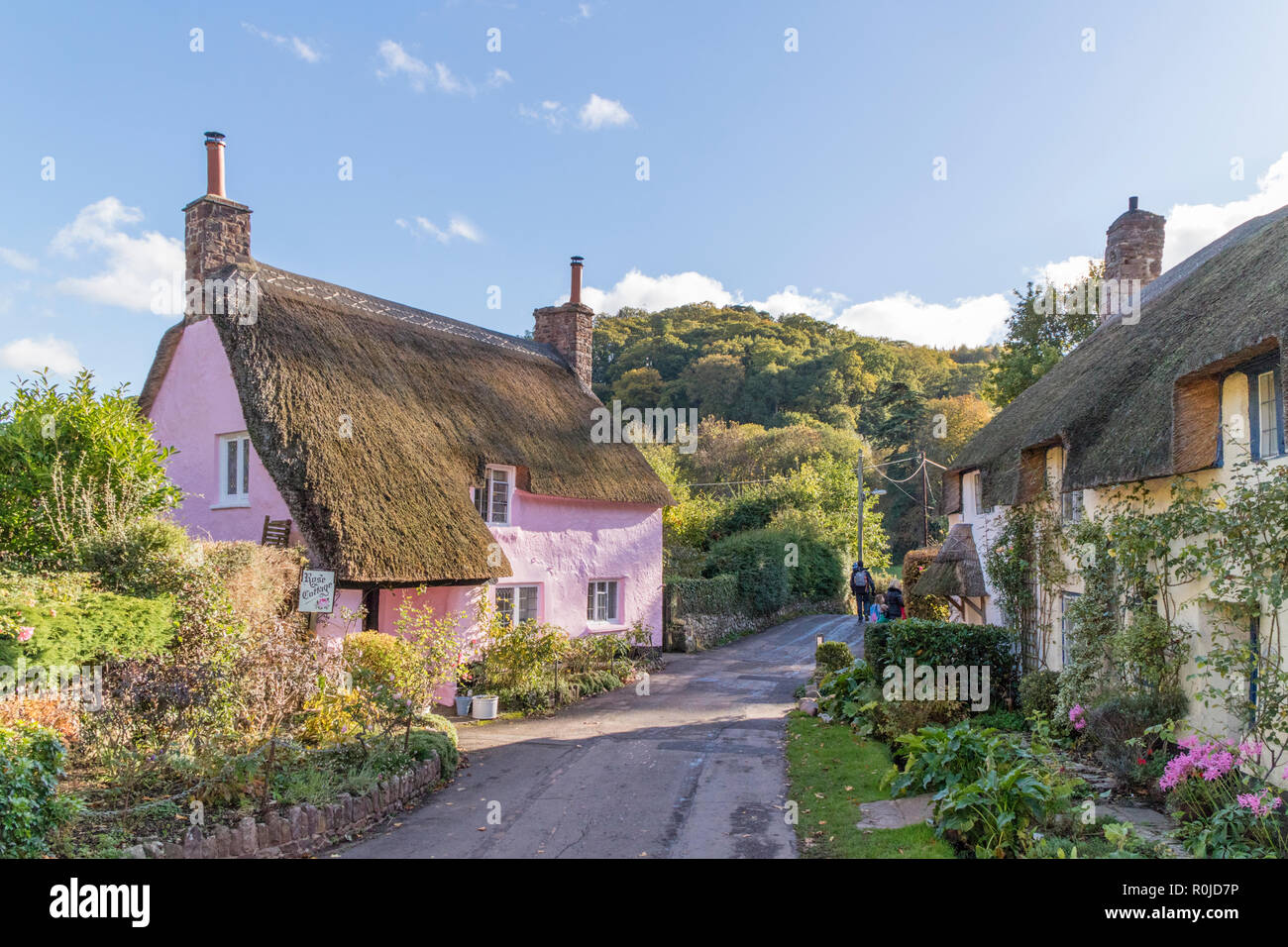 A happy thread of joyous things Thatched-cottages-in-the-attractive-village-of-dunster-exmoor-national-park-somerset-england-uk-R0JD7P
