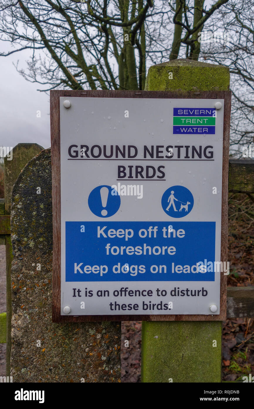 A sign saying Keep off the foreshore, keep dogs on leads, Ground Nesting Birds at Tittesworth reservoir Staffordshire, England, UK Stock Photo