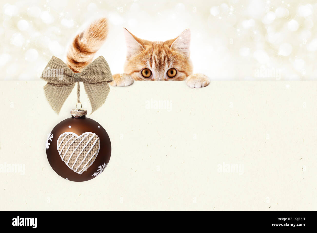 christmas ginger cat gift card with red ball and jute ribbon bow, copy