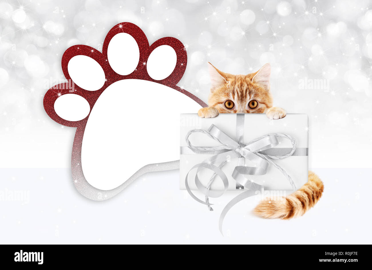 funny pet cat showing a gift box with silver ribbon bow and paw