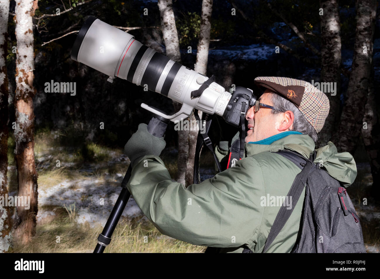 Nature wildlife professional photographer using a Canon 200-400mm f4 super tele photo zoom lens outdoors Stock Photo
