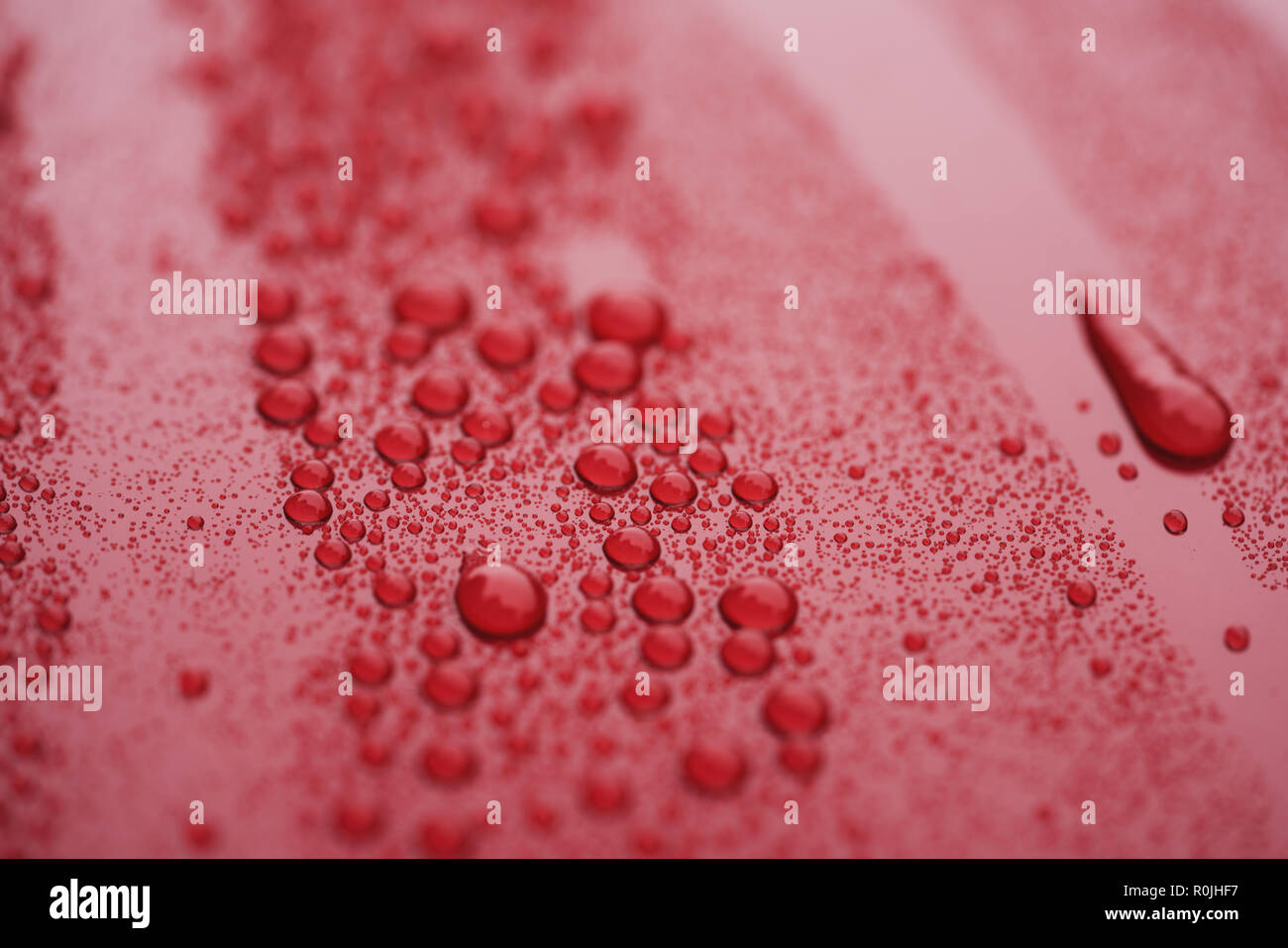 Closeup waterdrops on red ceramic coated paint surface, shallow focus Stock Photo