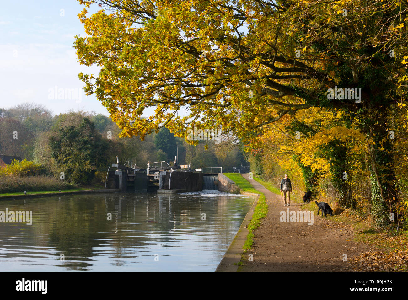 The Grand Union Canal at Hatton Locks in autumn, Warwickshire, UK Stock Photo
