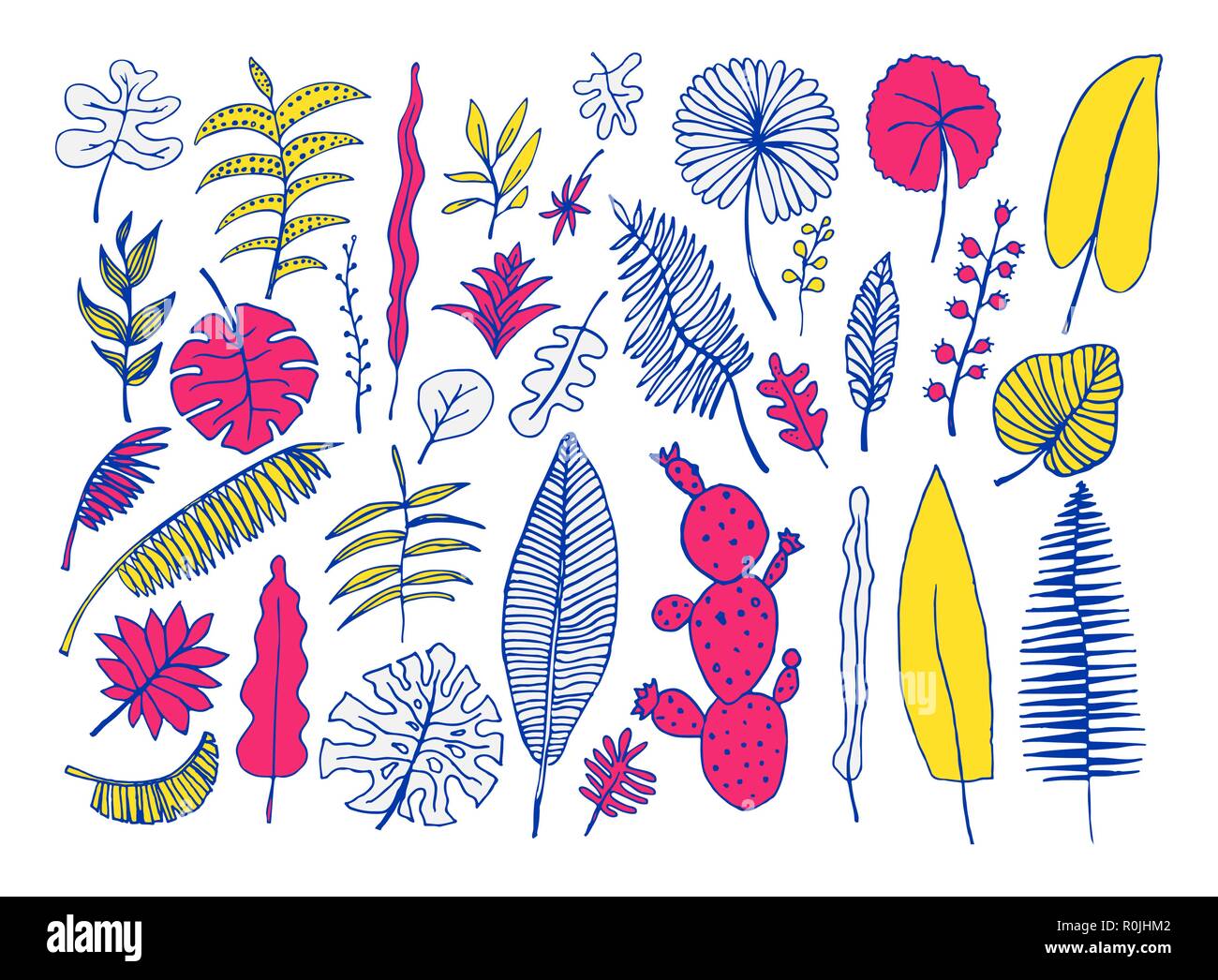 Vector set of hand-drawn bright tropical plants Stock Vector Image ...