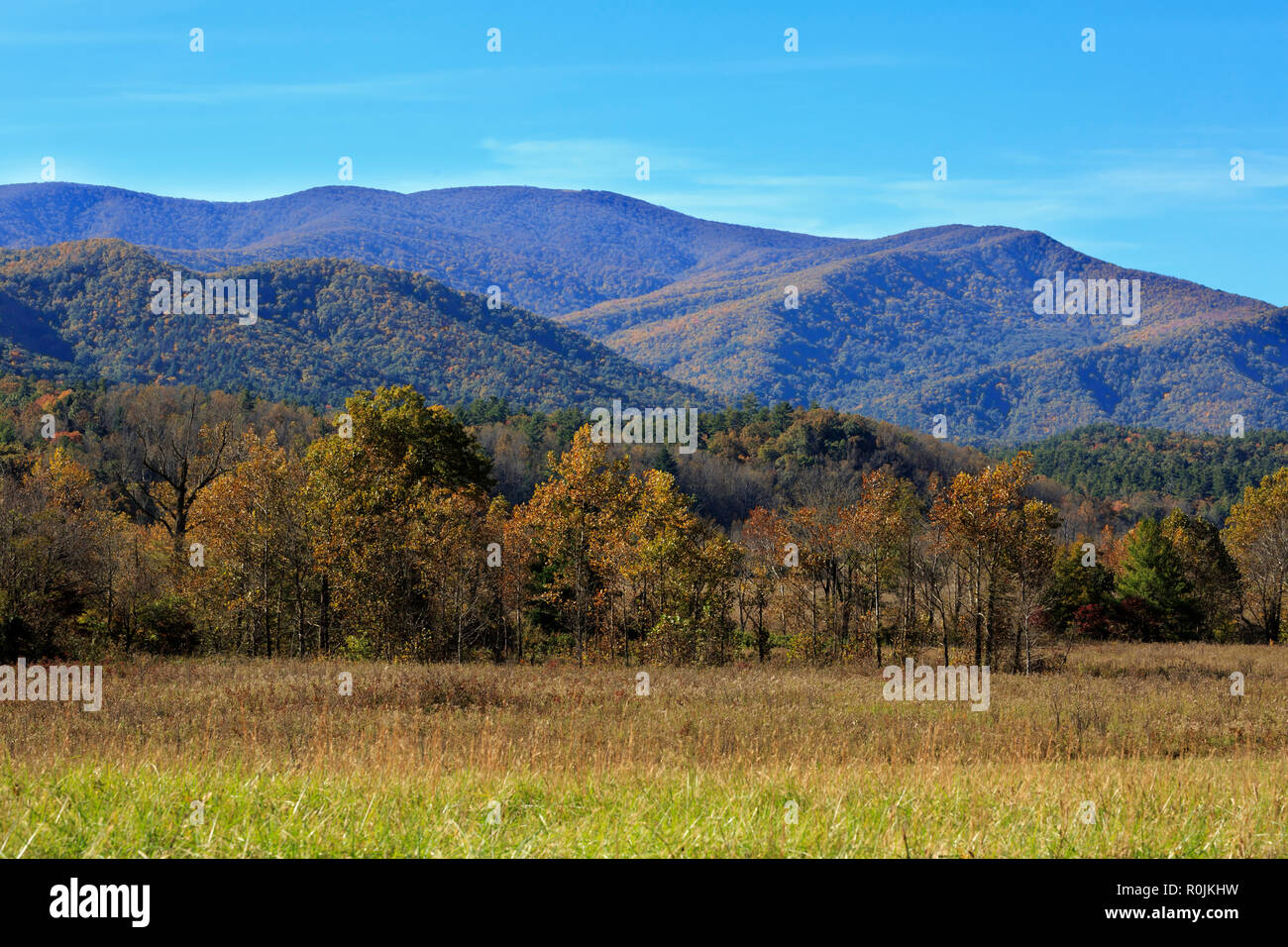 Autumn colours in Great Smoky Mountains National Park Stock Photo