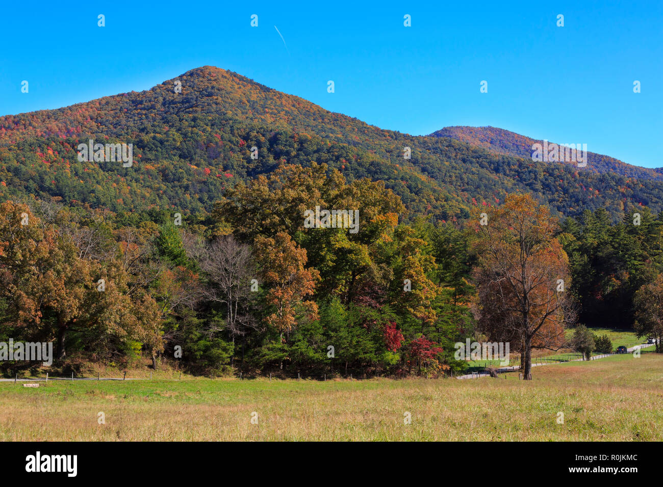 Autumn colours in Great Smoky Mountains National Park Stock Photo