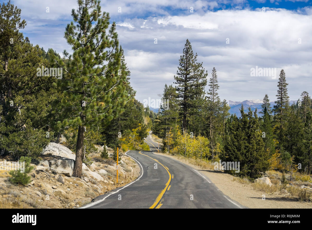 Driving through the Sierra mountains towards Sonora pass, California ...