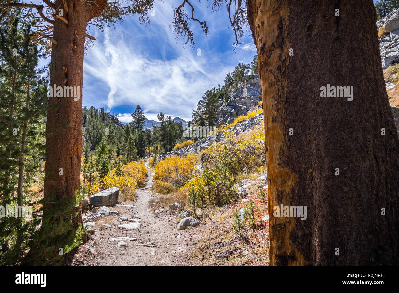 Hiking trail in the John Muir Wilderness, Eastern Sierra mountains, California Stock Photo