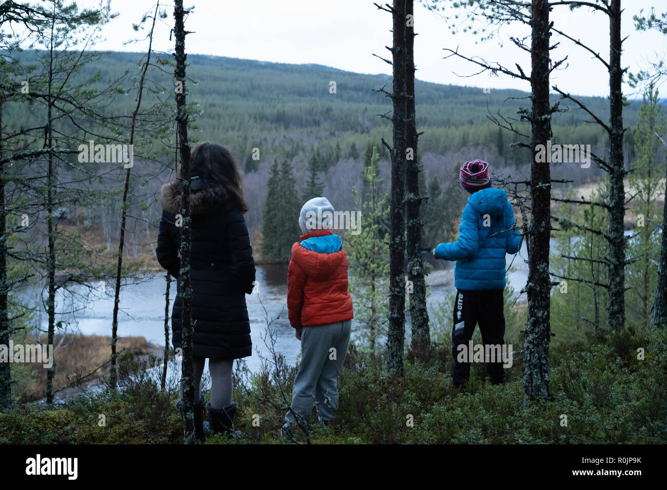 Woman and two kids looking out from the forest down to the Trysil river (Trysilelva) on a cloudy autumn day. Stock Photo