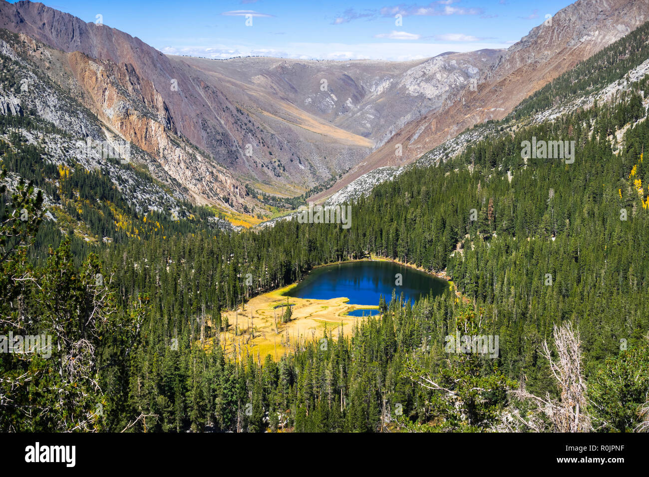 Aerial view Grass Lake surrounded by evergreen forests in the Eastern Sierra mountains, California Stock Photo