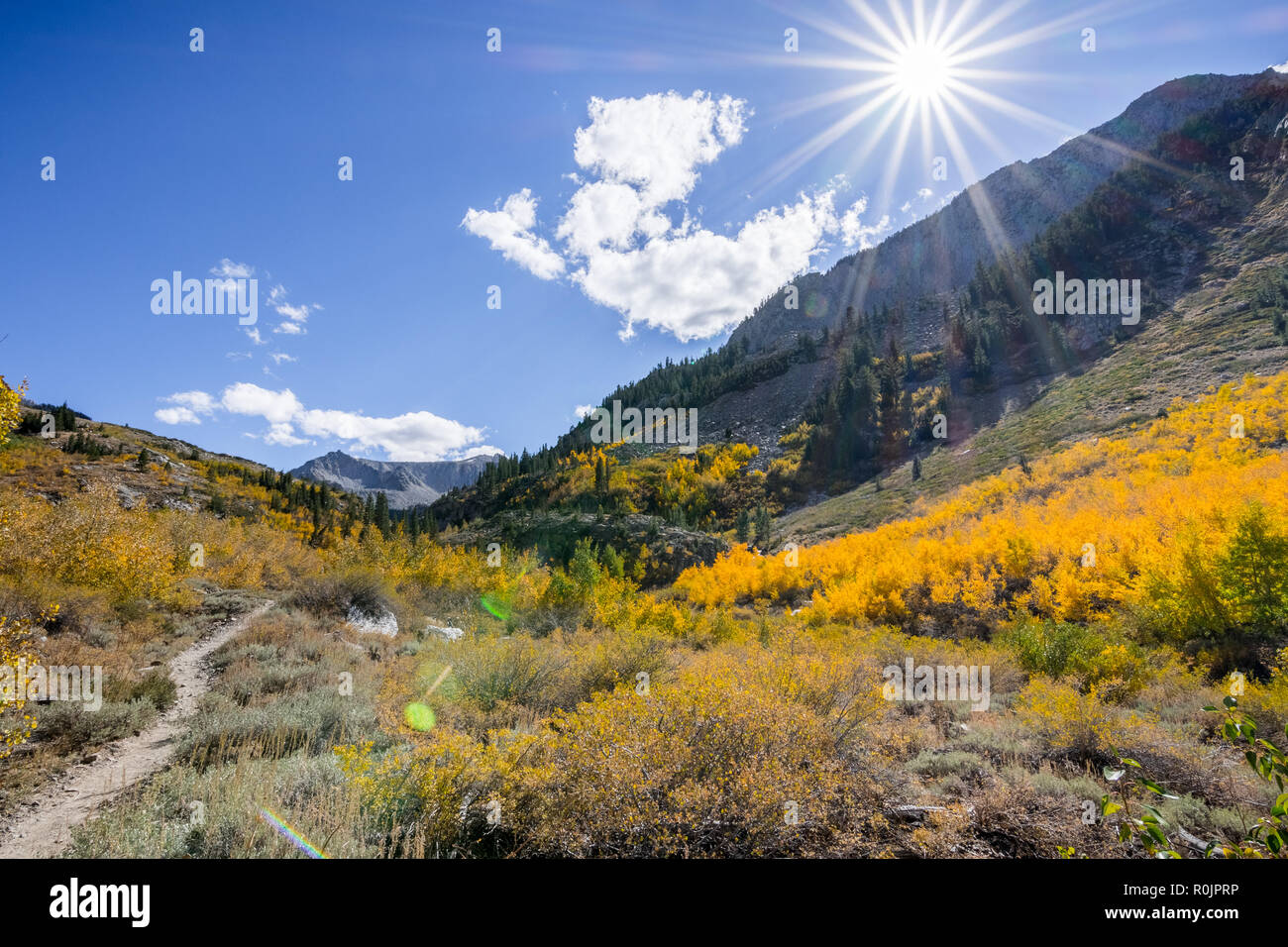 Fall colors covering McGee Creek valley in Eastern Sierra mountains, California Stock Photo