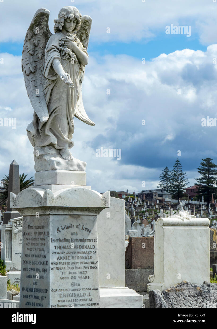 Marble winged angel headstone at Waverley Cemetery Bronte Sydney NSW Australia. Stock Photo