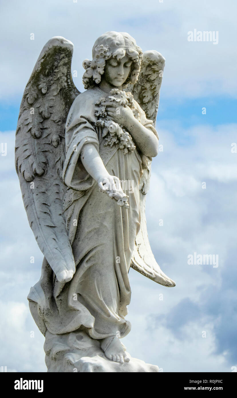 Marble winged angel headstone at Waverley Cemetery Bronte Sydney NSW Australia. Stock Photo