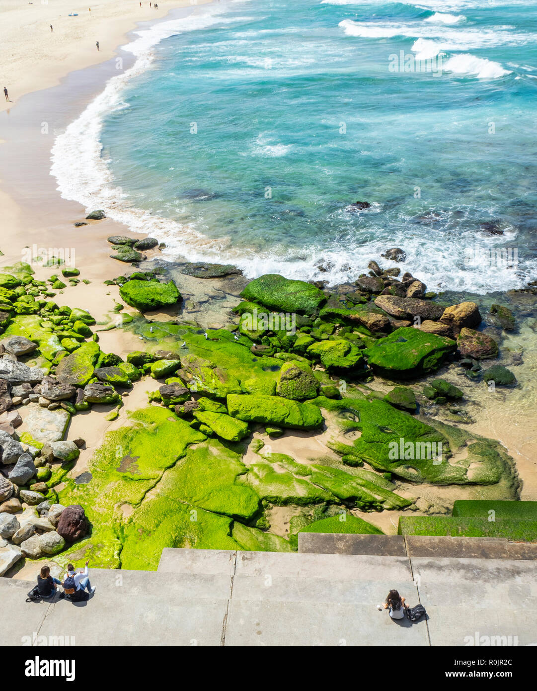 Woman and a couple sitting by algae covered rocks at the south end of Bondi Beach Sydney NSW Australia. Stock Photo