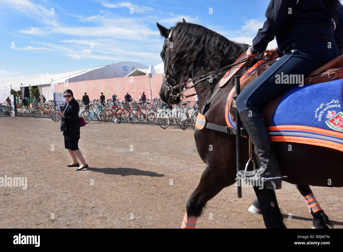 Woman with a mobile phone wearing Western European corporate suit crossing in front of Moroccan Guard horses in Marrakech MEDCOP 2016 Stock Photo