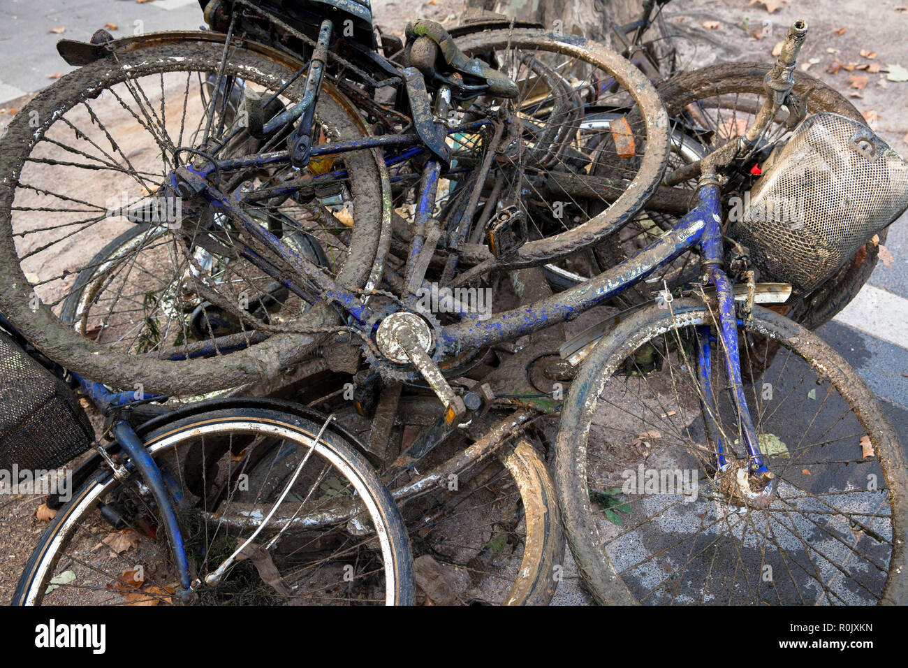at low water of the Rhine discovered and recovered mud covered bicycles lie on the riverbanks, Cologne, Germany.  bei Niedrigwasser des Rheins entdeck Stock Photo