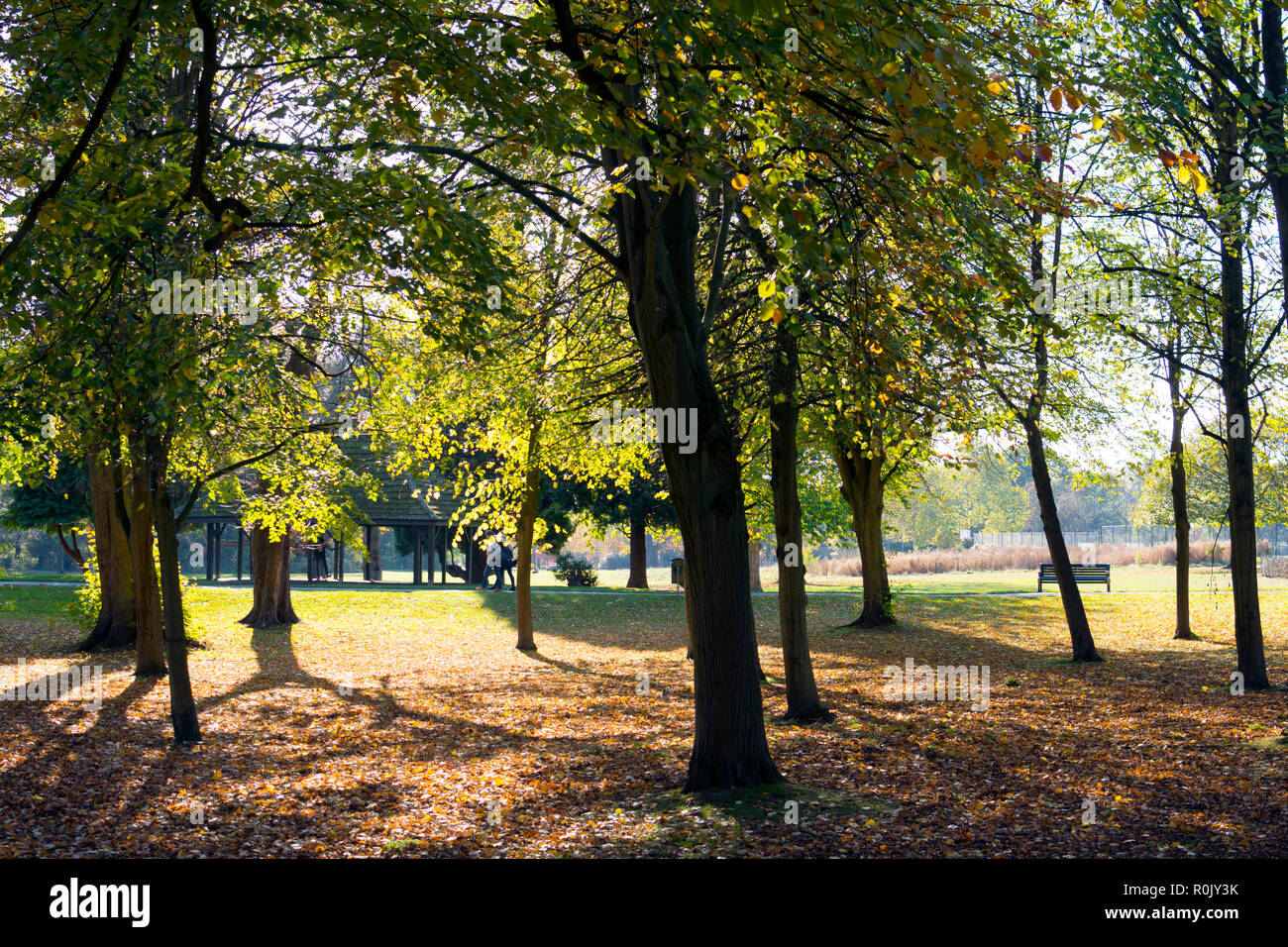 Malvern Park in autumn, Solihull, West Midlands, England, UK Stock Photo