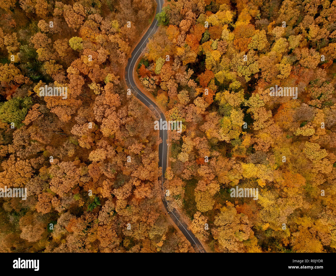 Aerial view at the road in beautiful autumn forest Stock Photo - Alamy