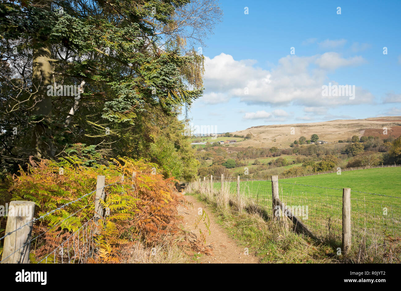 Footpath path country walk walks to Beck Hole in autumn copyspace North York Moors North Yorkshire England UK United Kingdom GB Great Britain Stock Photo