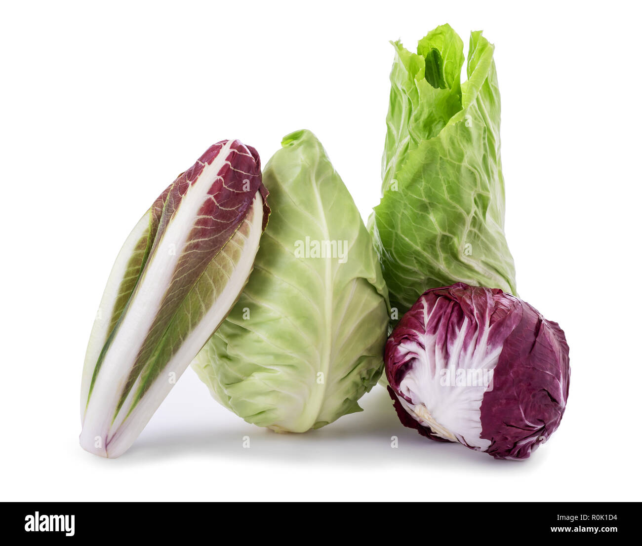 Chicory cabbage radicchio end salade isolated on white Stock Photo
