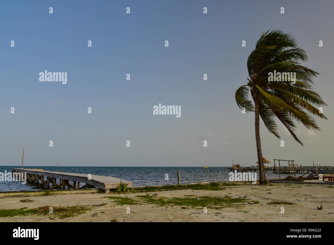 Caye Caulker, Belize Stock Photo - Alamy